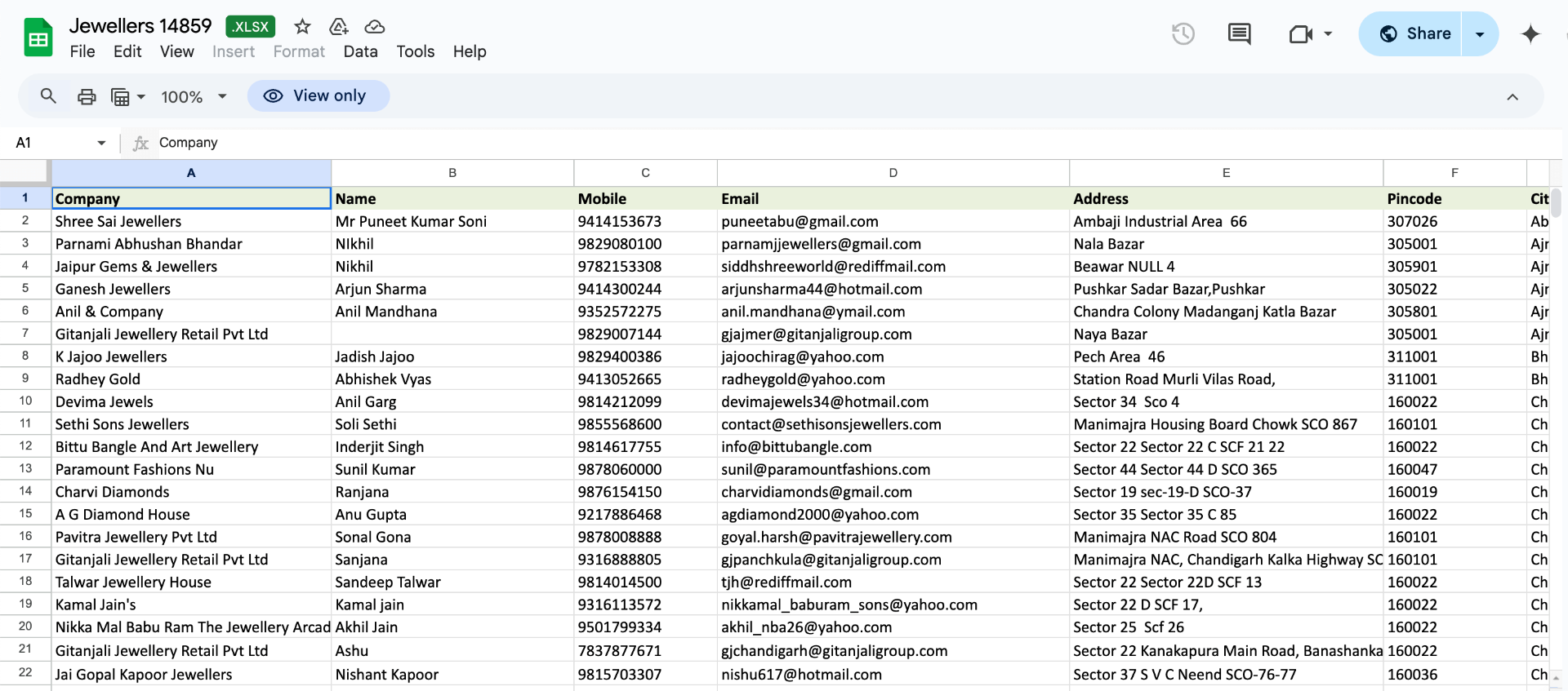 Real Excel sheet — Company, Name, Mobile, Email, Address, Pincode & City. Exactly what you download.